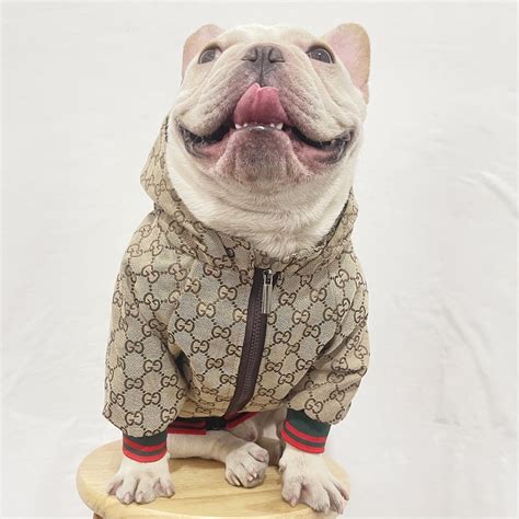 ropa gucci para perros